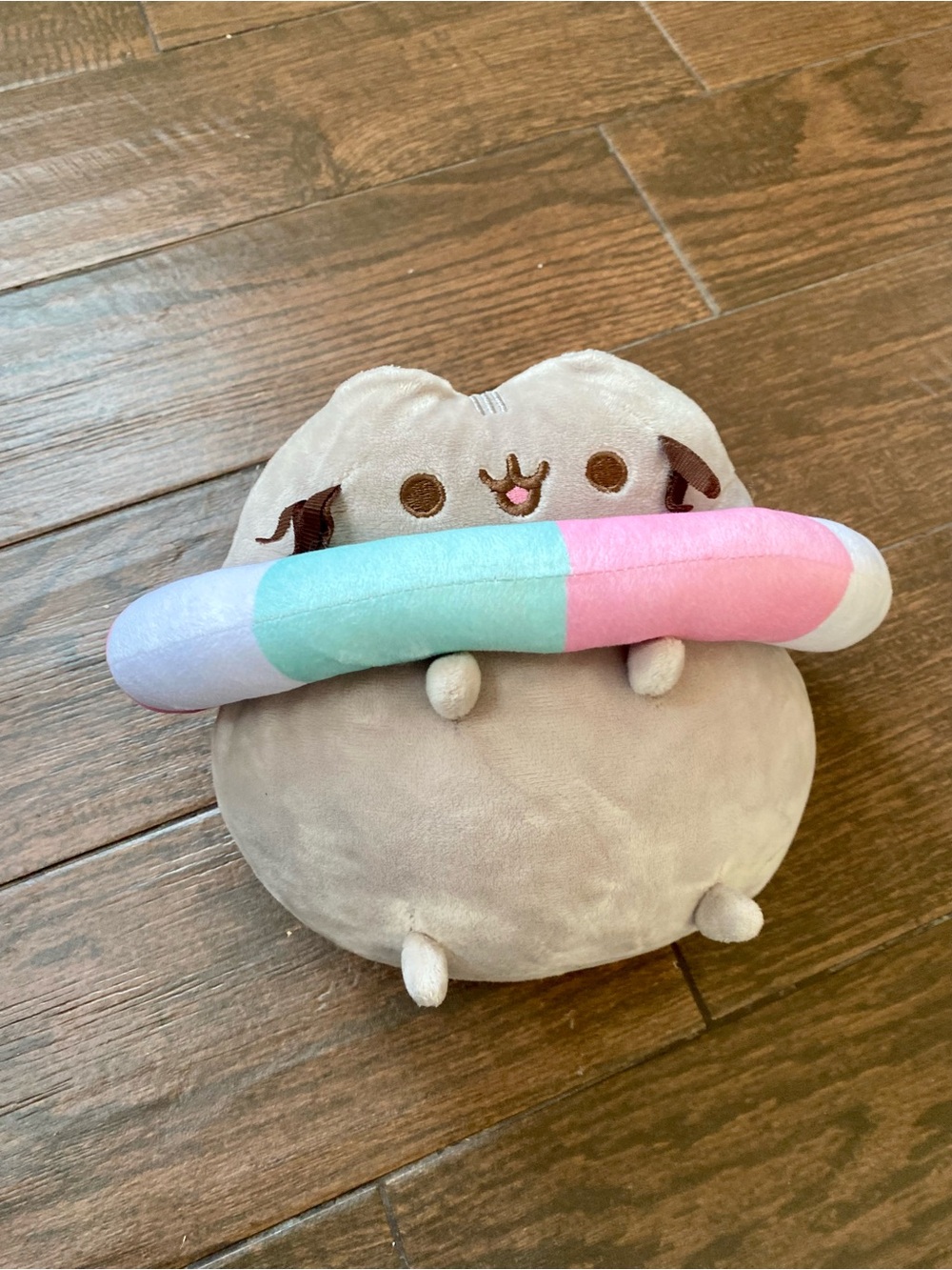 Pusheen Striped Pool Floatie 9” Plush Stuffed Toy Fiesta With Tag